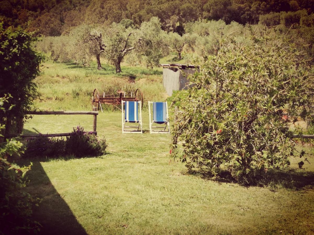 Villa Pian Di Rocca Country à Castiglione della Pescaia Extérieur photo